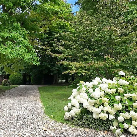 Villa Dorina Padova